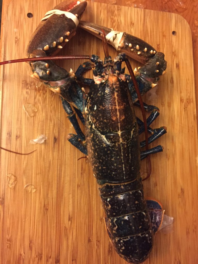 lobster