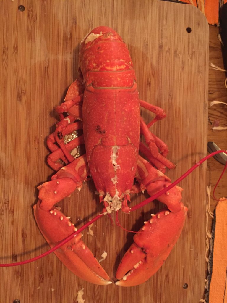 lobster